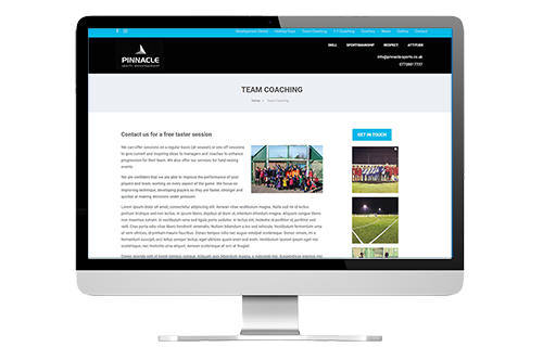 Internal page from the Pinnacle sports website